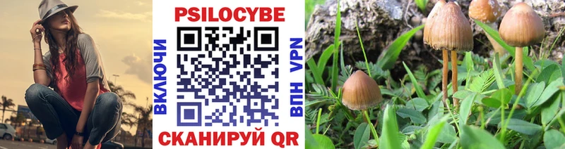 Псилоцибиновые грибы GOLDEN TEACHER  mega ссылки  Новочеркасск 
