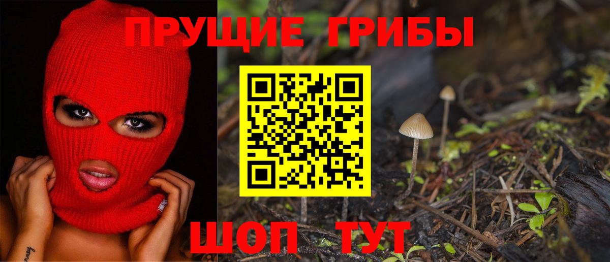 Галлюциногенные грибы Psilocybe Новочеркасск